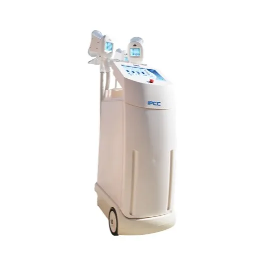 Pmise cryolipolysis body equipment